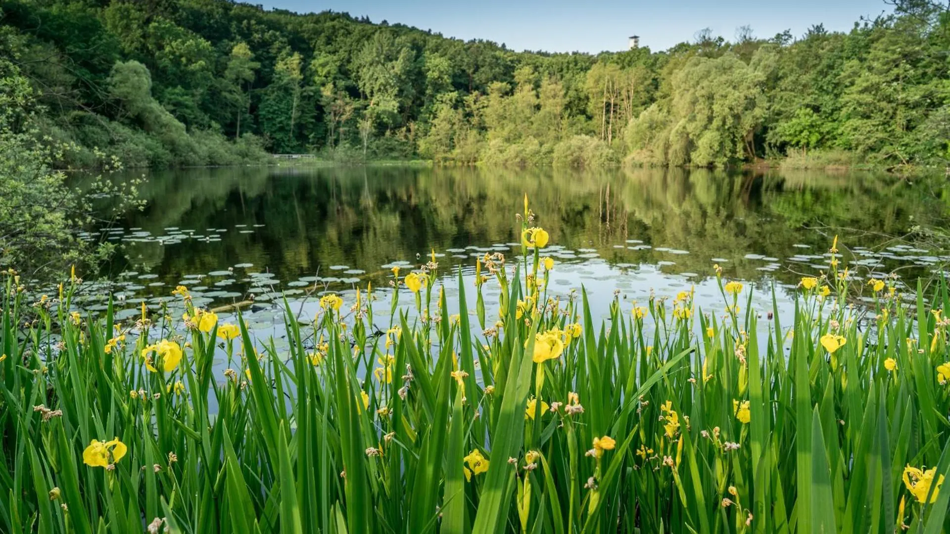 Vakantiehuis Ferienpark Ruebezahl Am Mueggelsee, Haus 21 Efeu Mit Eigener Sauna, Idealer Ort Fuer Natur- Und Erholungssuchende, Fuer Radfahrer, Familien Mit Kindern Und Hundeliebhaber Berlijn